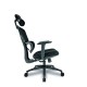 Trinity Ergonomic High Back Mesh Chair